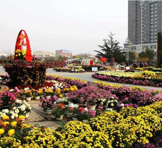桂林城市菊展设计
